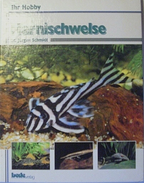 Harnischwelse von Dr. Jürgen Schmidt